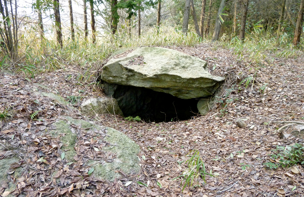坂元山古墳群(坂元)