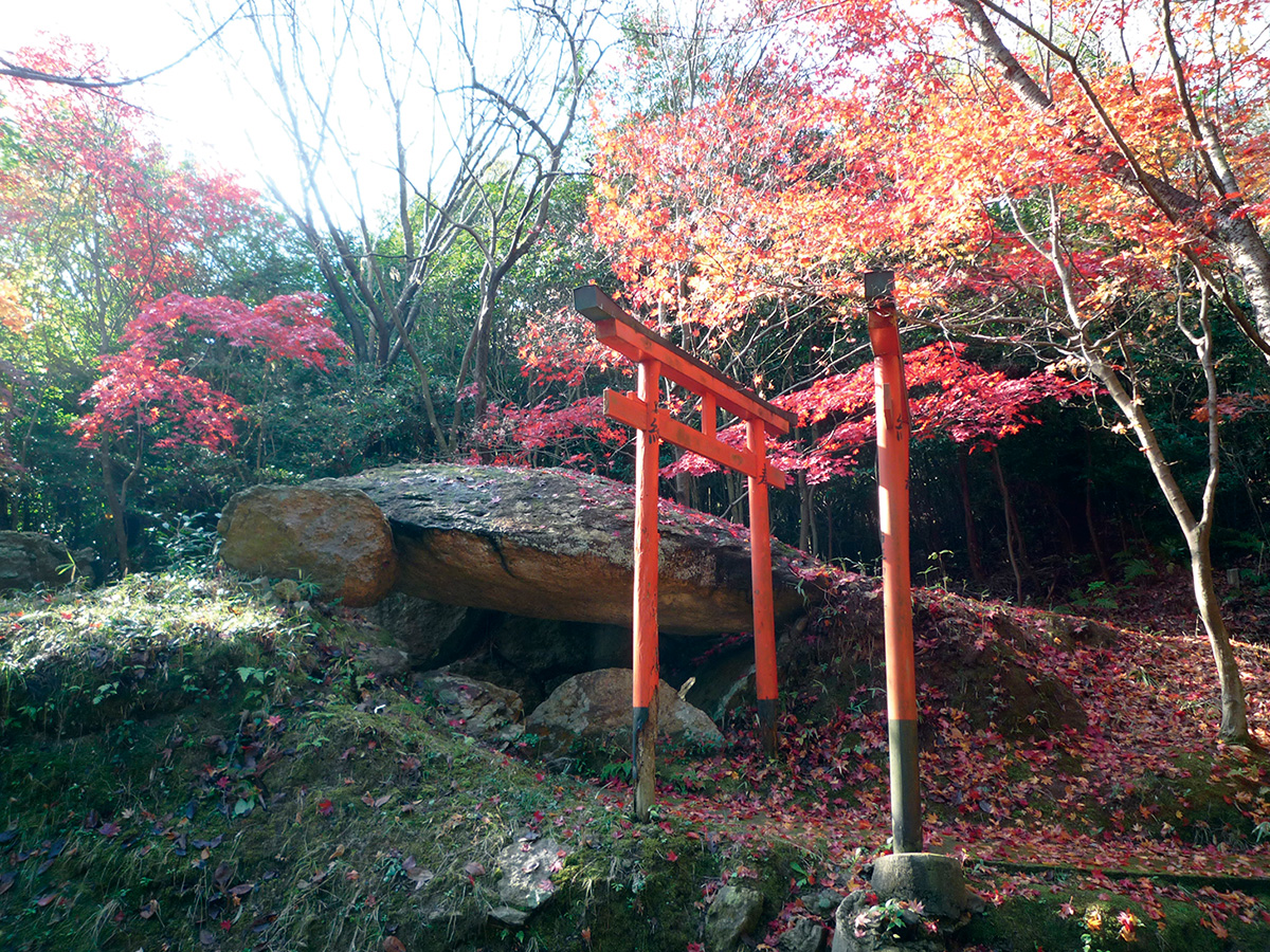 阿保百穴古墳群(東阿保)