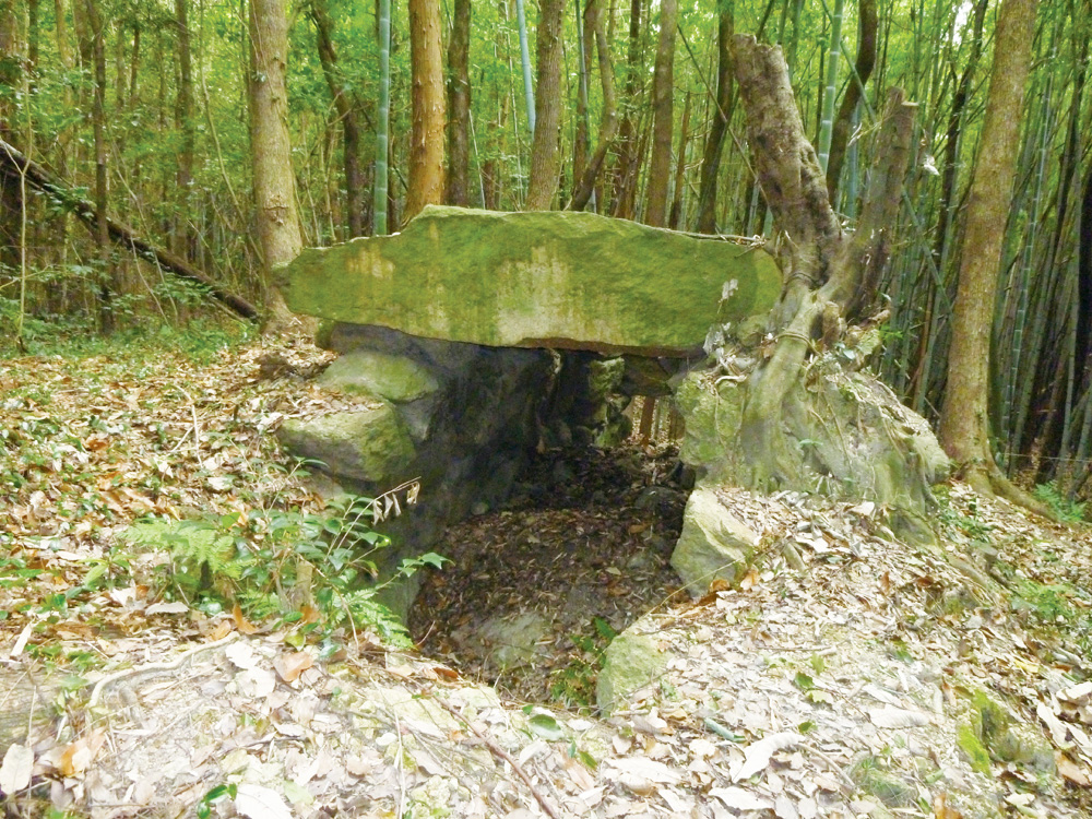 火山(ひのやま)古墳群(本郷)