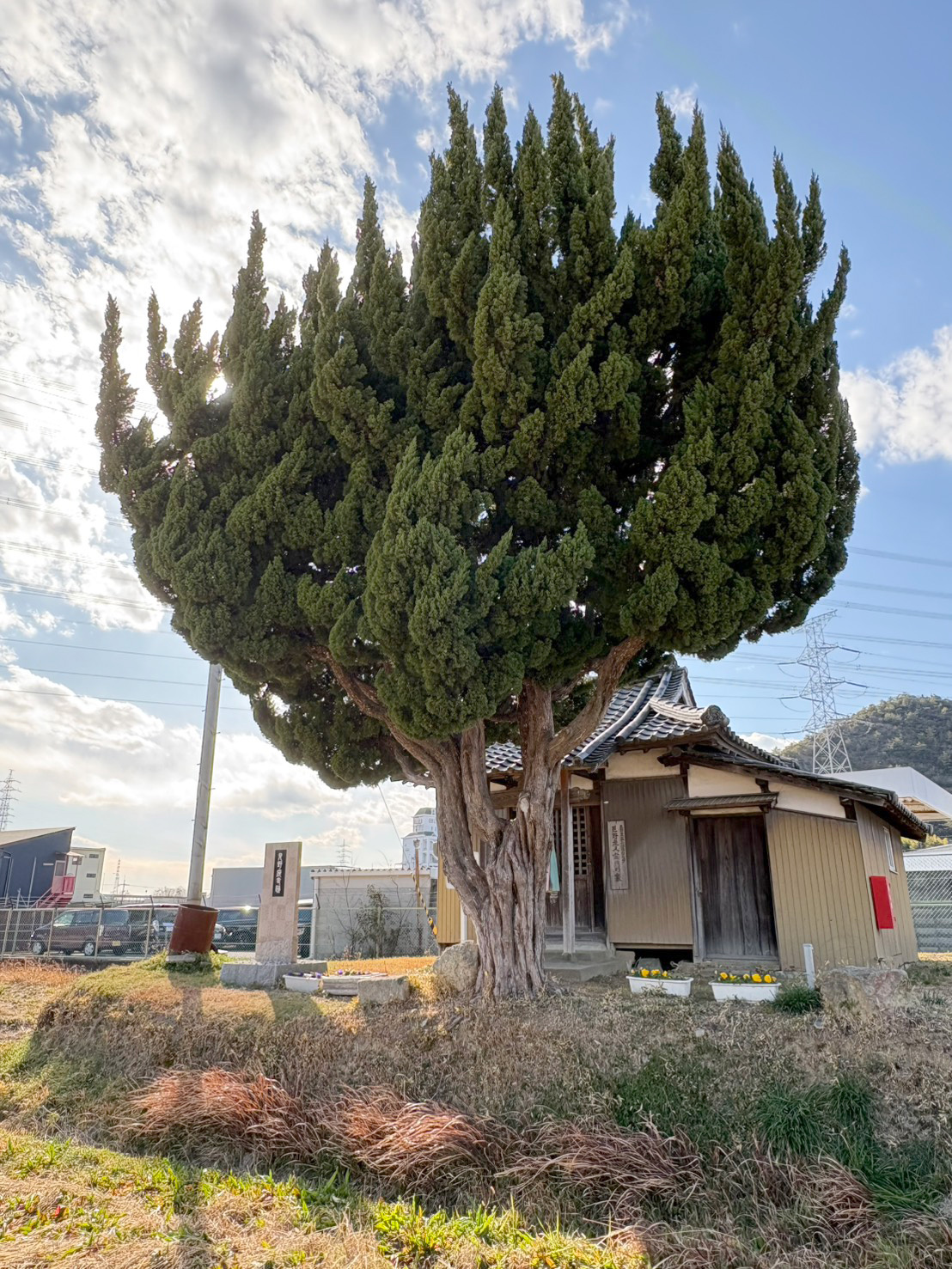 見野廃寺(見野東)