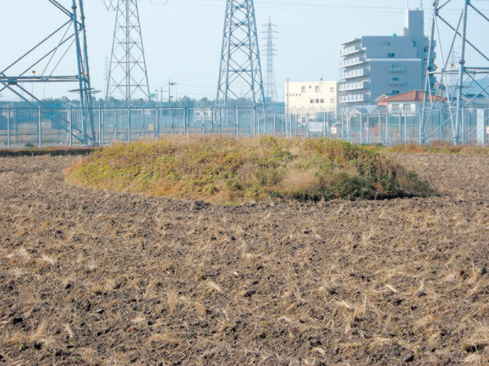 見野長塚古墳(見野東)兵庫県指定史跡